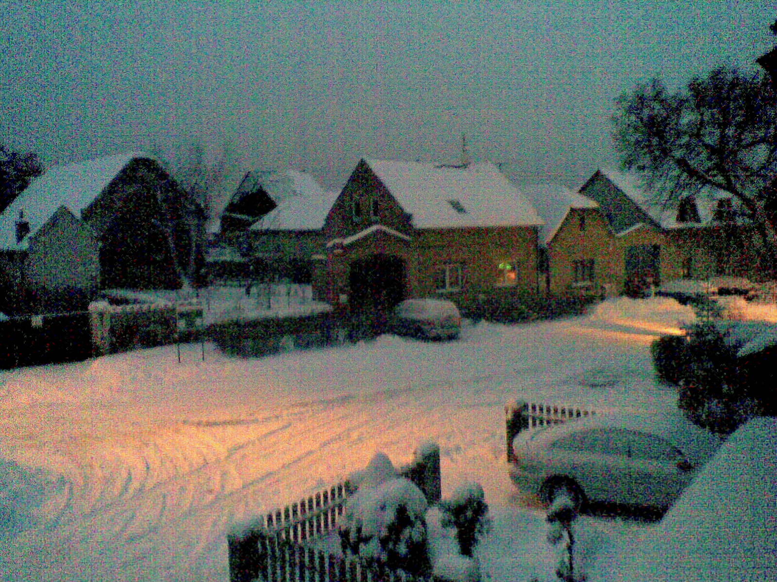 ZIMA 2010. (4).jpg