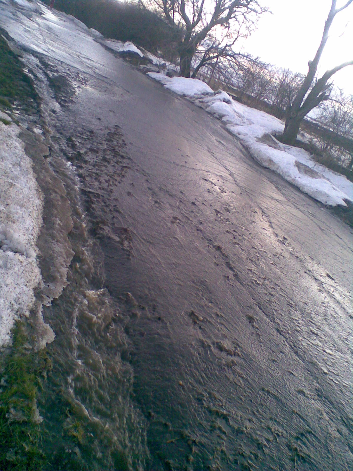 OBLEVA 1.3. 2010.jpg