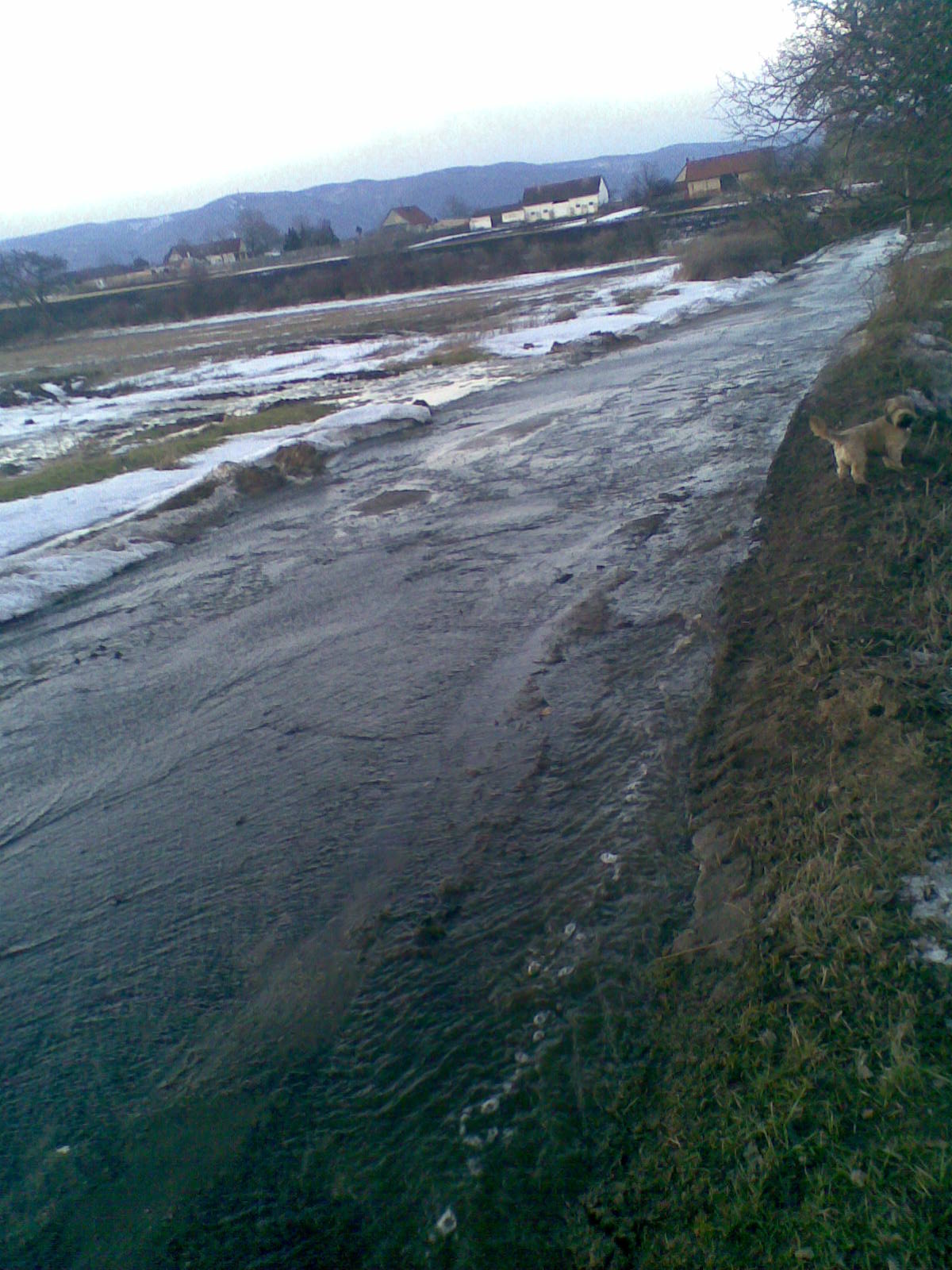 OBLEVA 1.3. 2010 (2).jpg