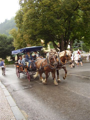ViŠŇOVÁ (79).JPG