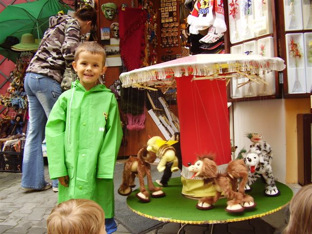 ViŠŇOVÁ (81).JPG