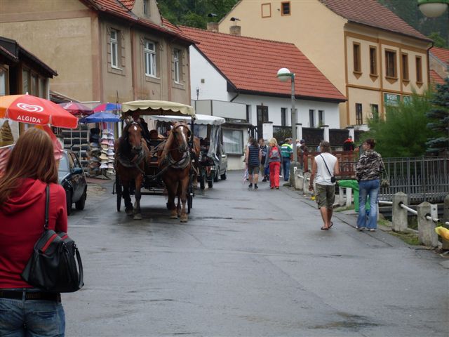 ViŠŇOVÁ (95).JPG