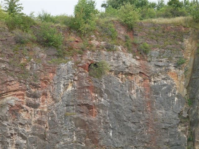 ViŠŇOVÁ (112).JPG