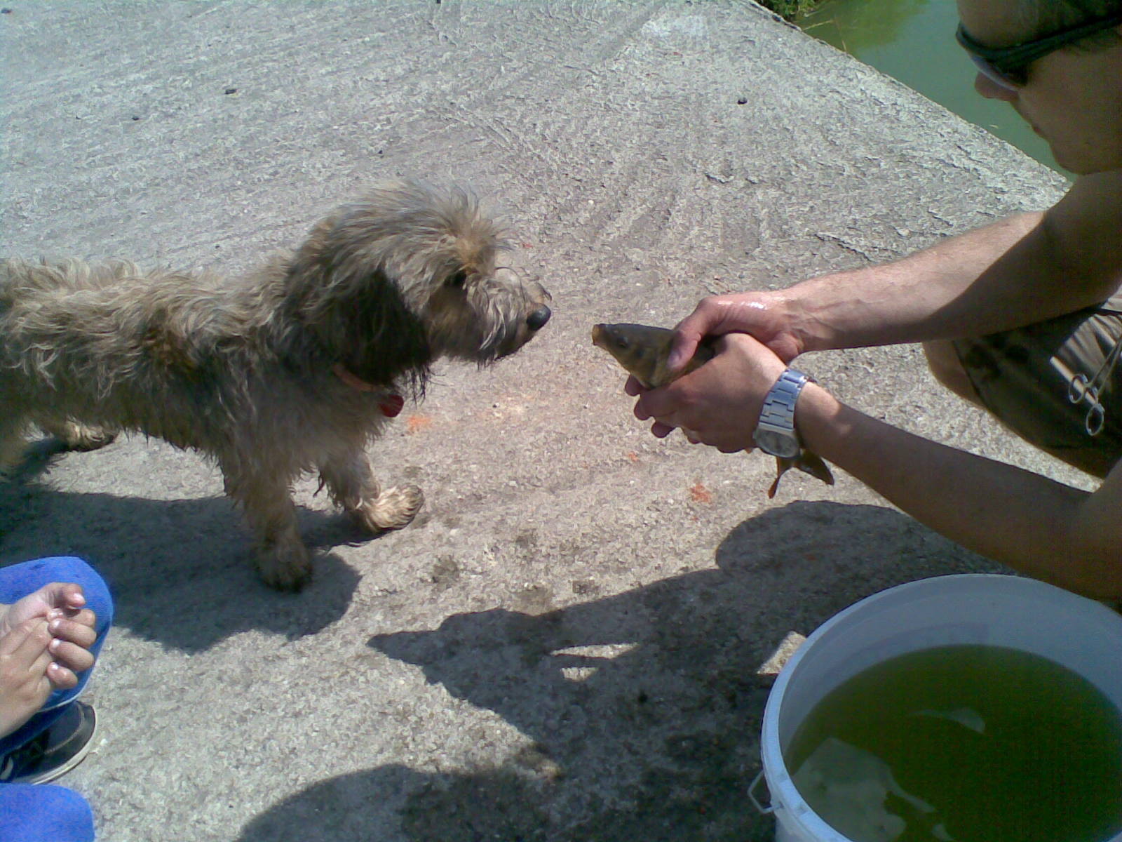 19052009(019).jpg