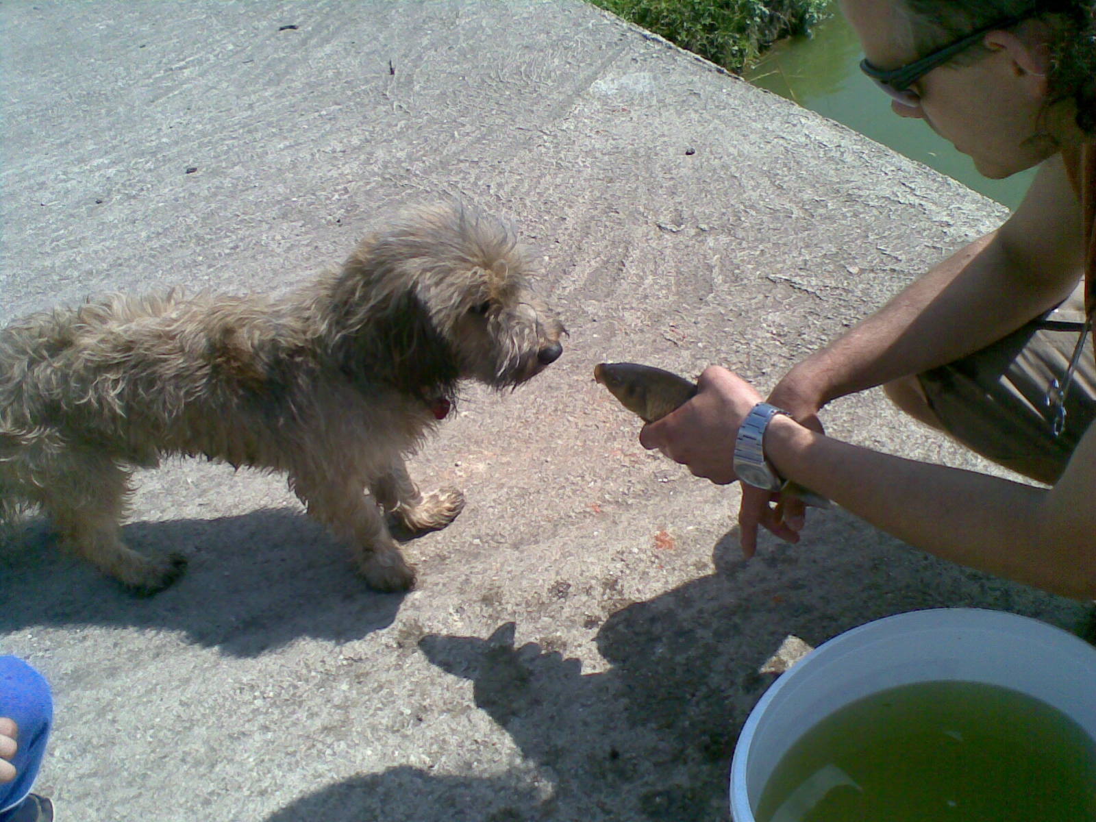 19052009(020).jpg