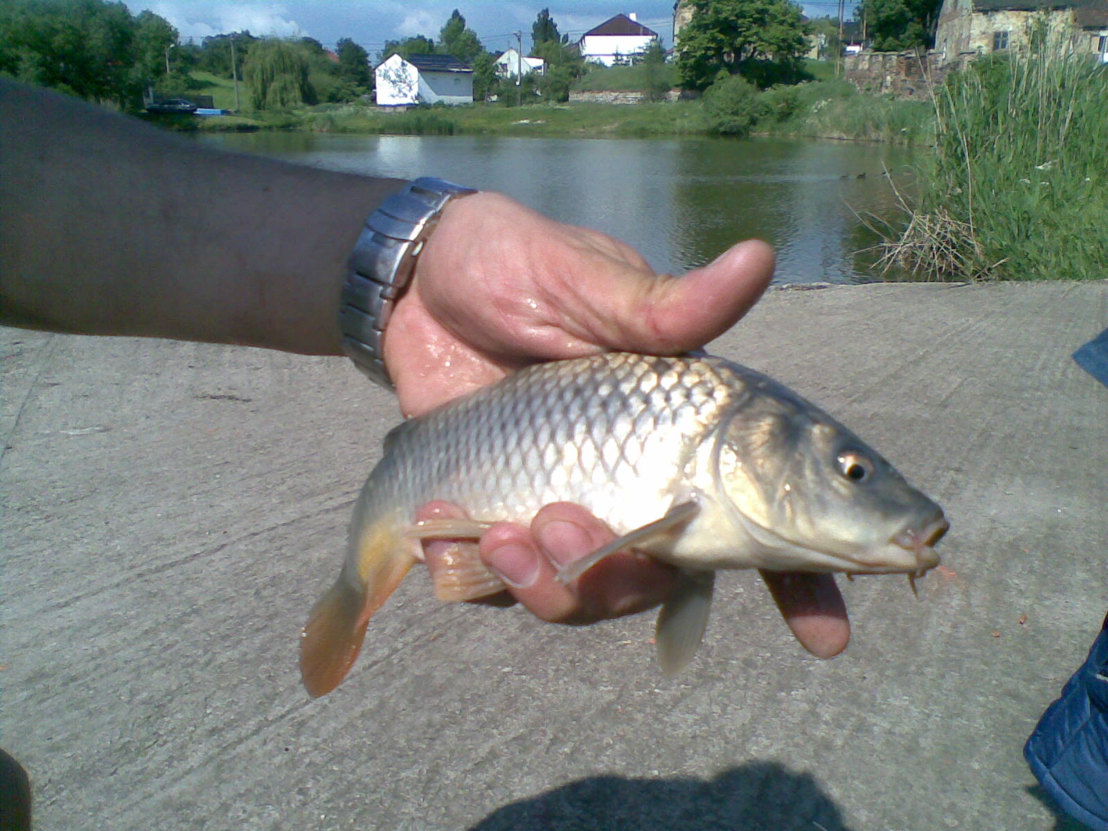 19052009.jpg