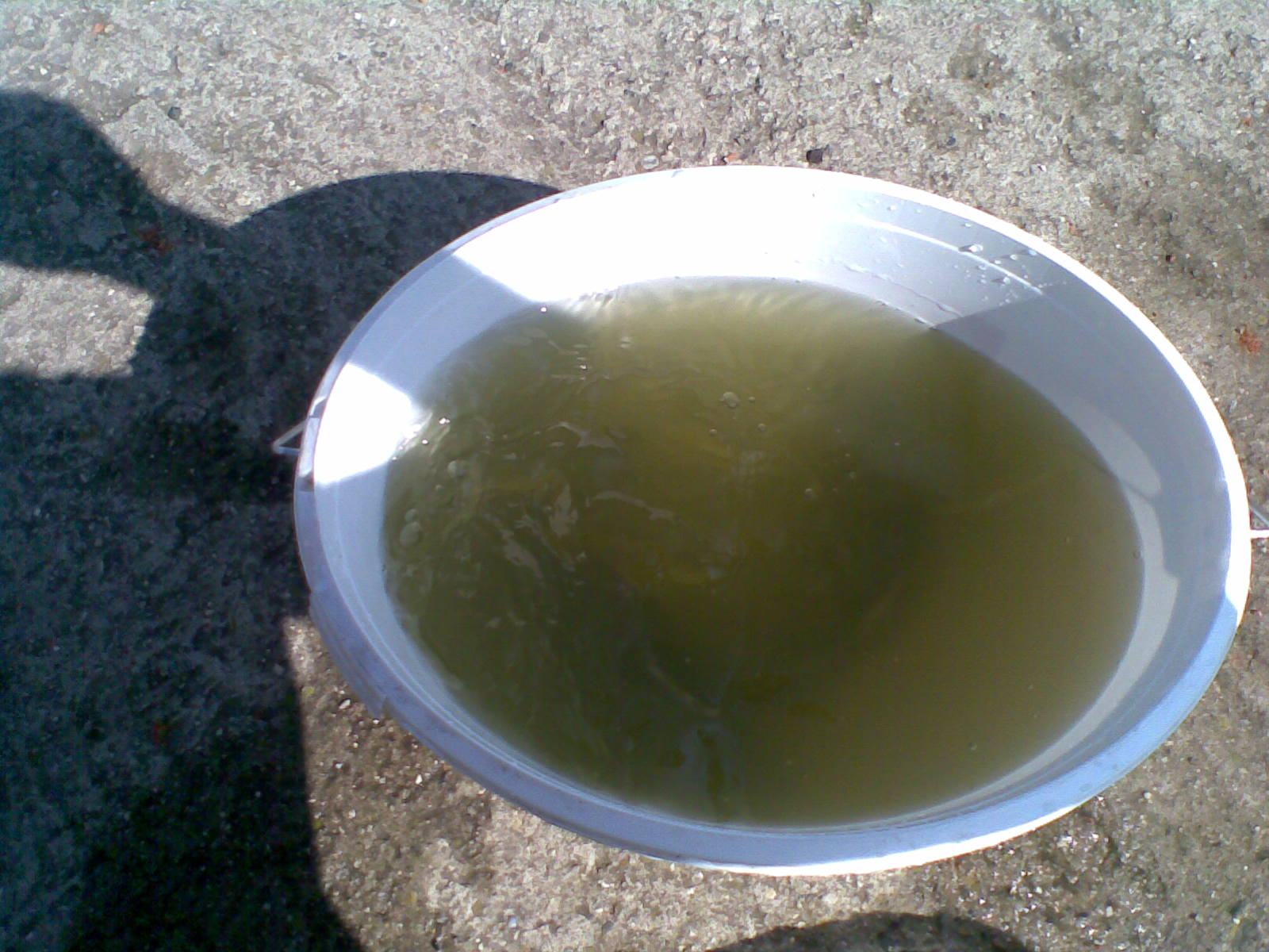 19052009(004).jpg