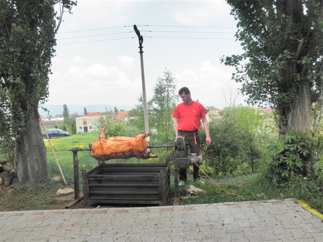 P4303833