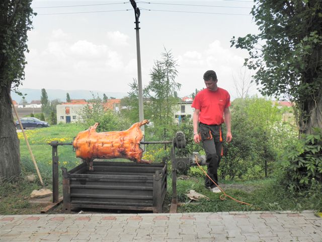 P4303834