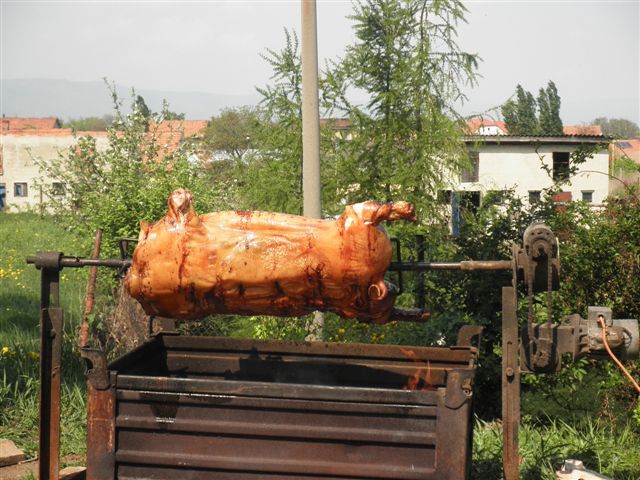 P4303837