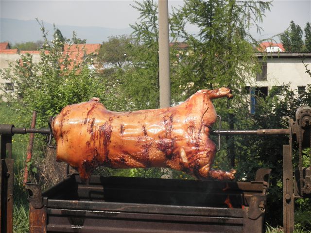 P4303838