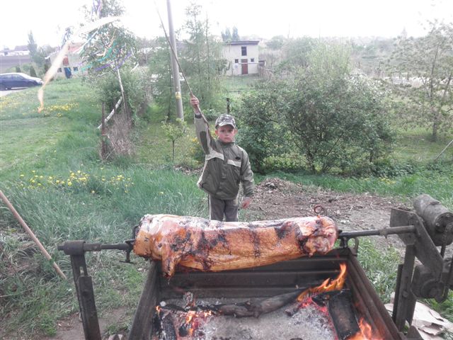 P4303855